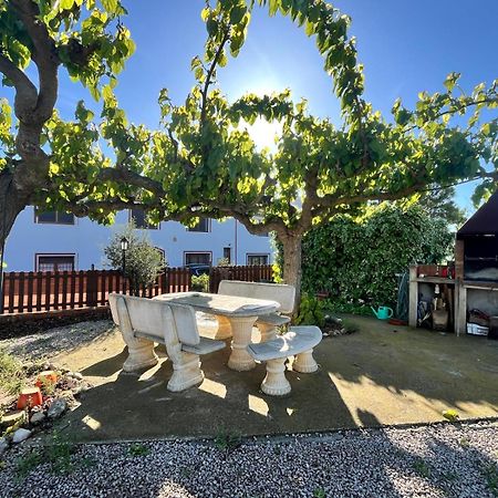 Cal Muntanyes Villa Font-Rubi Exteriör bild