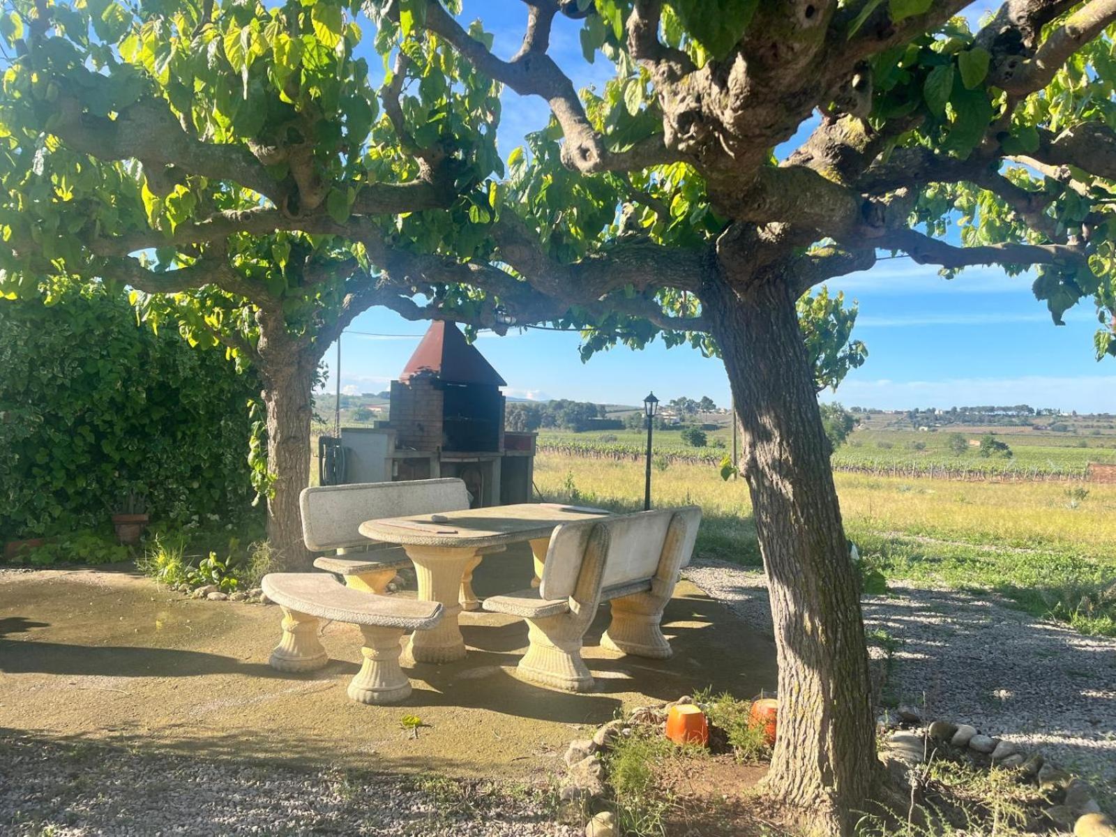 Cal Muntanyes Villa Font-Rubi Exteriör bild