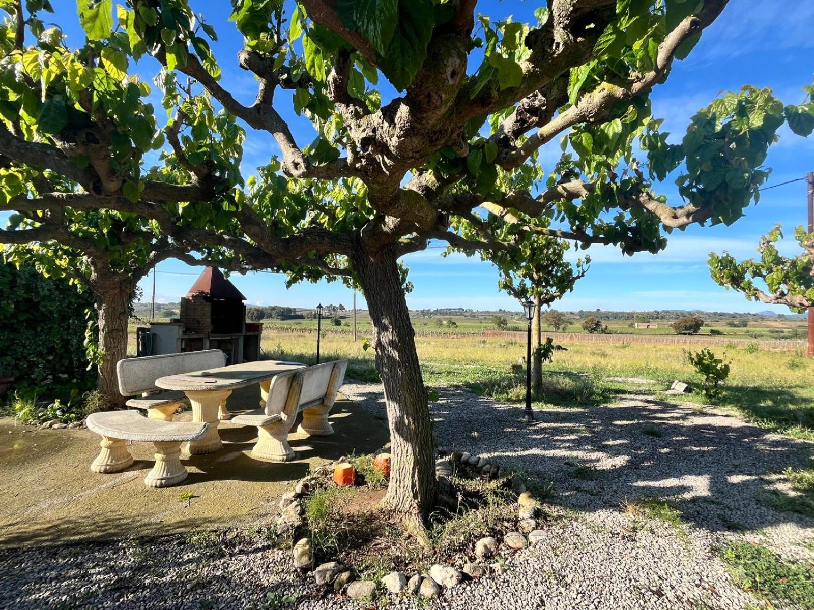 Cal Muntanyes Villa Font-Rubi Exteriör bild